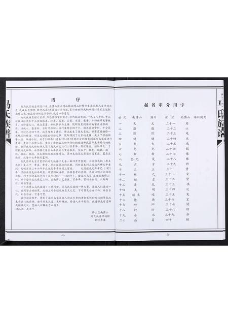 山东马氏-马氏族谱[不分卷].pdf电子版预览图4