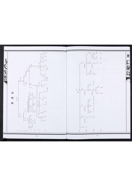 山东马氏-马氏族谱[不分卷].pdf电子版预览图5