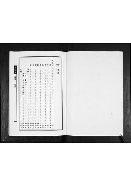 山东马氏-马氏族谱[不分卷].pdf电子版预览图1