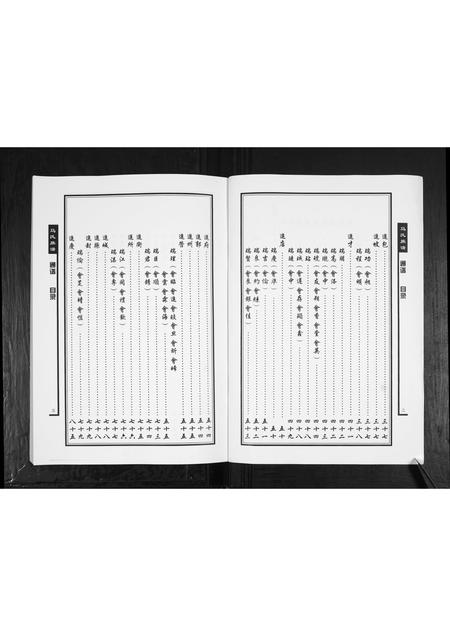 山东马氏-马氏族谱[不分卷].pdf电子版预览图2