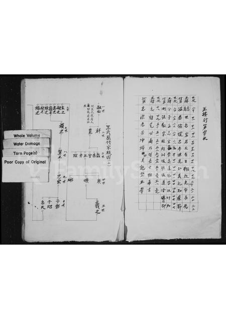 4554.坑底王氏房谱.pdf电子版预览图1