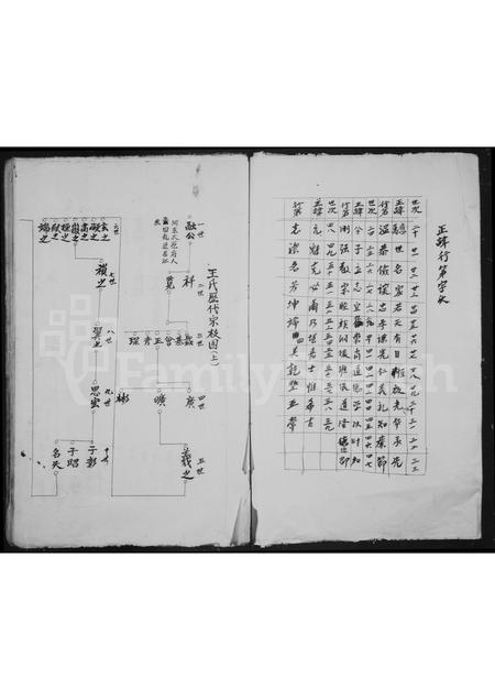 4554.坑底王氏房谱.pdf电子版预览图2