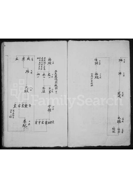 4554.坑底王氏房谱.pdf电子版预览图3