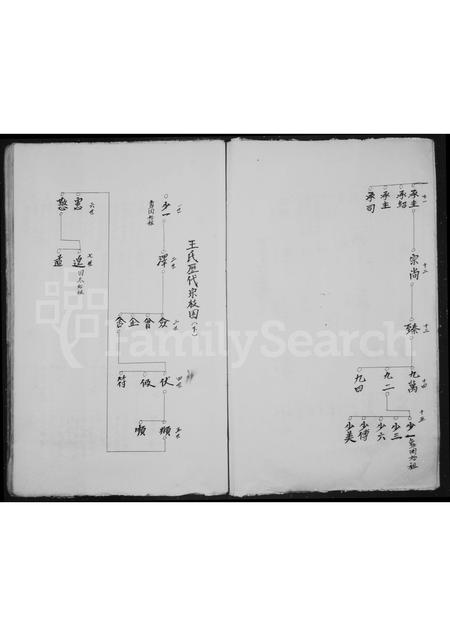 4554.坑底王氏房谱.pdf电子版预览图4