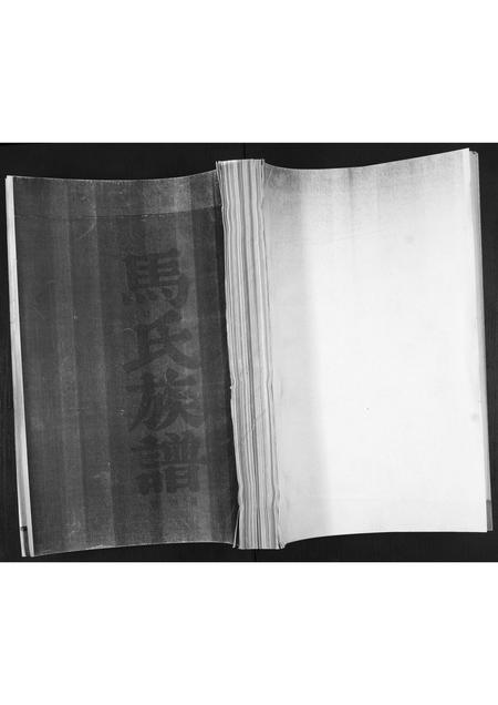 山东马氏-马氏族谱[不分卷].pdf电子版缩略图