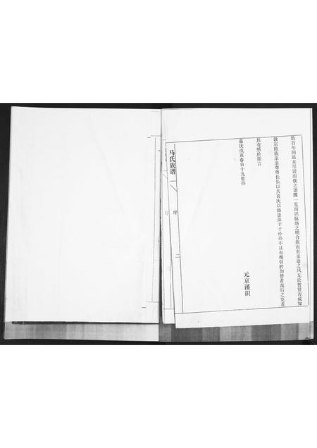 山东马氏-马氏族谱[不分卷].pdf电子版预览图2