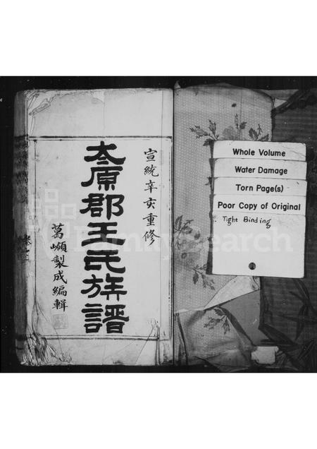 4555.太原郡王氏族谱 [4卷].pdf电子版预览图1