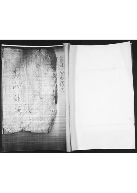 山东马氏-马氏族谱[不分卷].pdf电子版缩略图