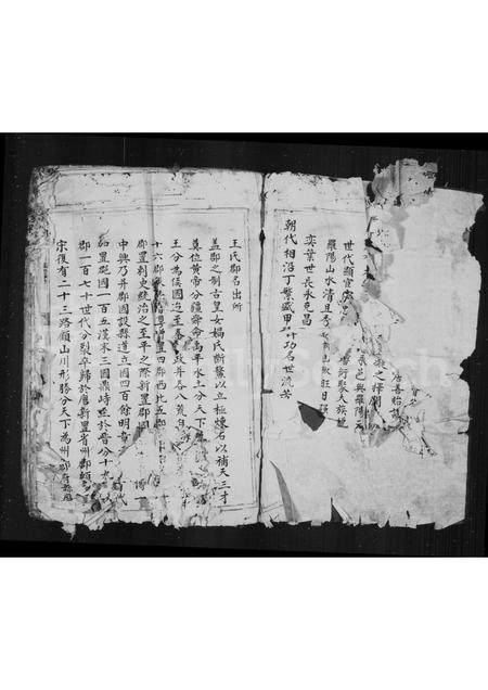 4556.宅里王氏族谱.pdf电子版预览图2