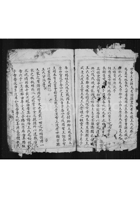 4556.宅里王氏族谱.pdf电子版预览图3