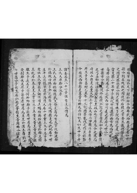 4556.宅里王氏族谱.pdf电子版预览图4