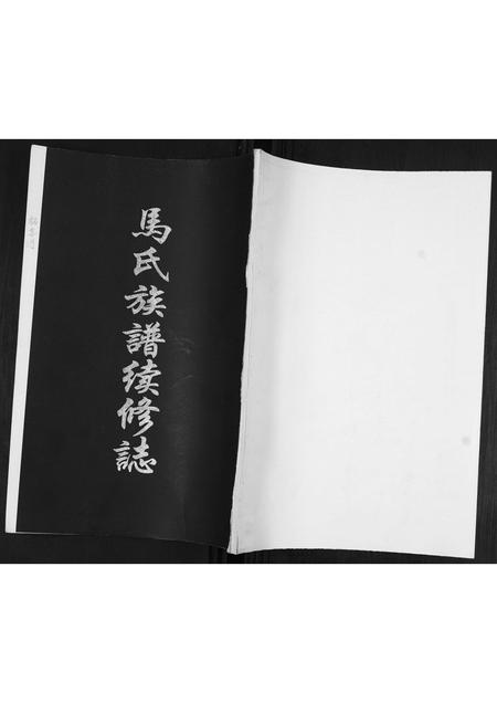 山东马氏-马氏族谱续修志[不分卷].pdf电子版缩略图