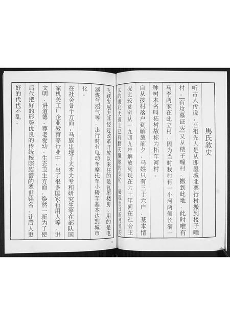 山东马氏-马氏族谱续修志[不分卷].pdf电子版预览图4