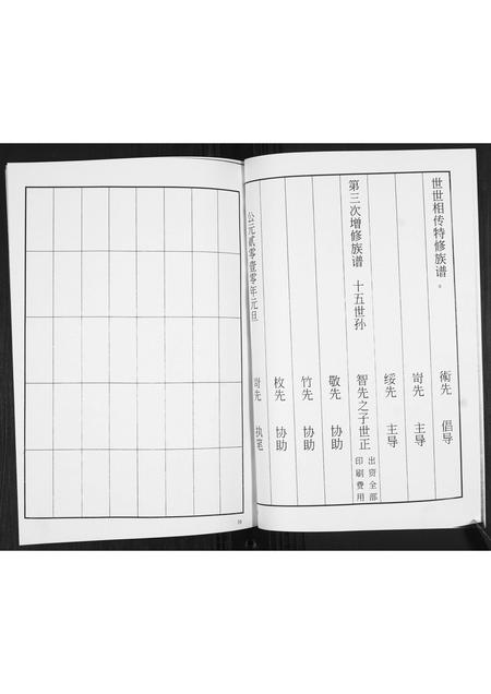 山东马氏-马氏族谱续修志[不分卷].pdf电子版预览图5