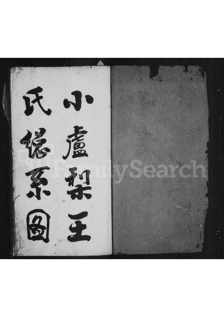 4557.小卢梨王氏房谱(别名：王氏家乘).pdf电子版预览图1