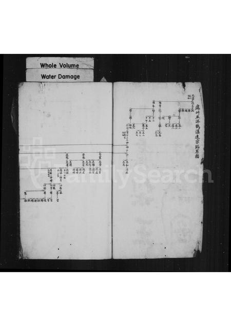 4557.小卢梨王氏房谱(别名：王氏家乘).pdf电子版预览图2