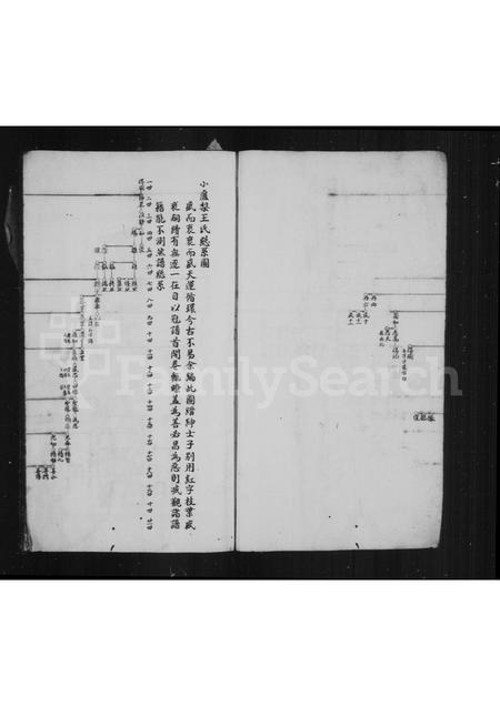 4557.小卢梨王氏房谱(别名：王氏家乘).pdf电子版预览图3
