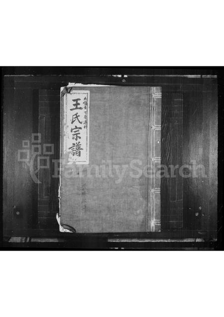 4558.后洋王氏宗谱(别名：王氏宗谱).pdf电子版缩略图