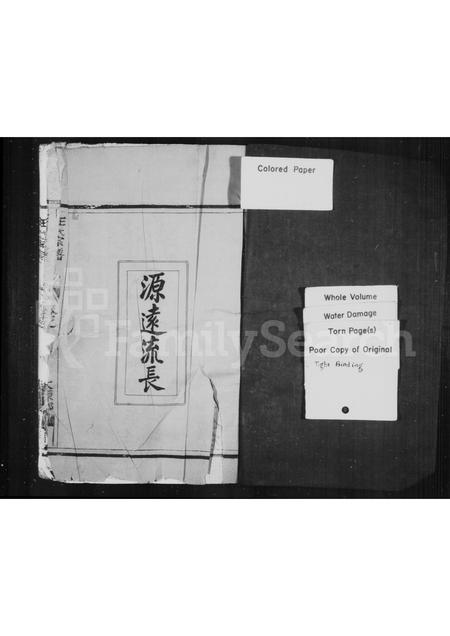 4558.后洋王氏宗谱(别名：王氏宗谱).pdf电子版预览图1