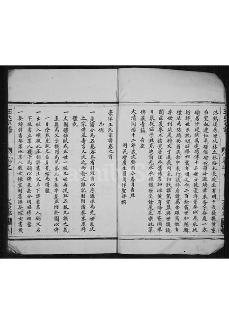 4558.后洋王氏宗谱(别名：王氏宗谱).pdf电子版预览图5