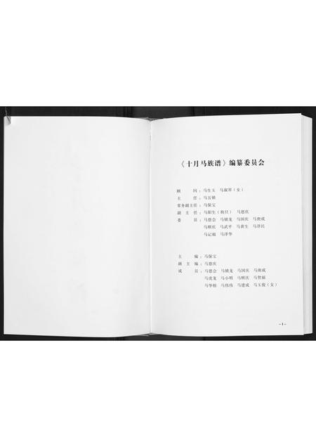 山西马氏-十月马族谱.pdf电子版预览图2