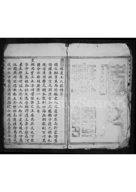 4560.槐庭王氏族谱.pdf电子版预览图3