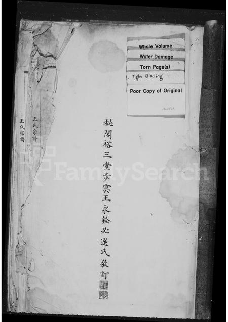 4562.泰顺县司前区司前村王氏宗谱(别名：王氏宗谱).pdf电子版预览图1