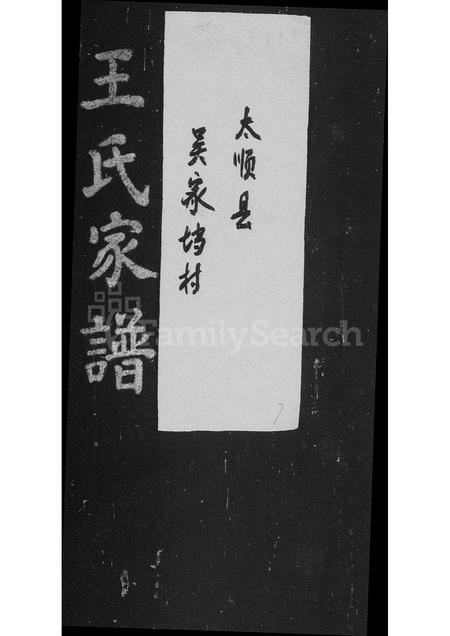 4565.王氏家谱.pdf电子版缩略图