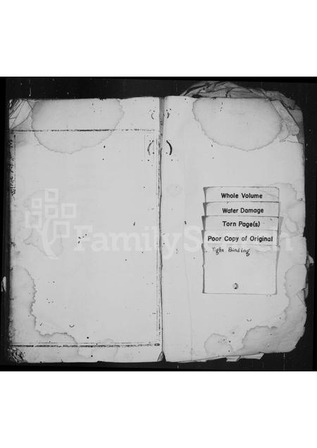 4565.王氏家谱.pdf电子版预览图1