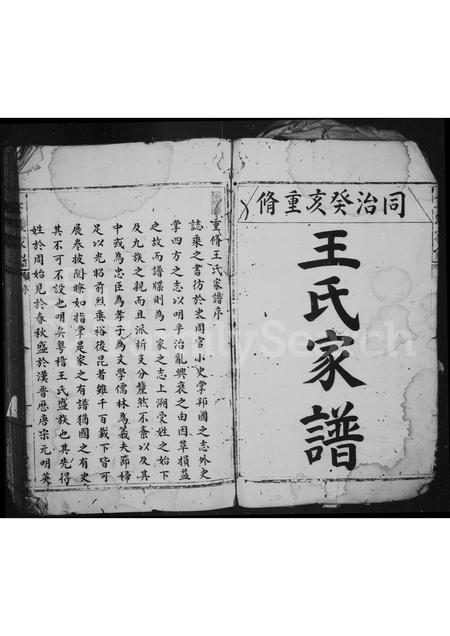 4565.王氏家谱.pdf电子版预览图2