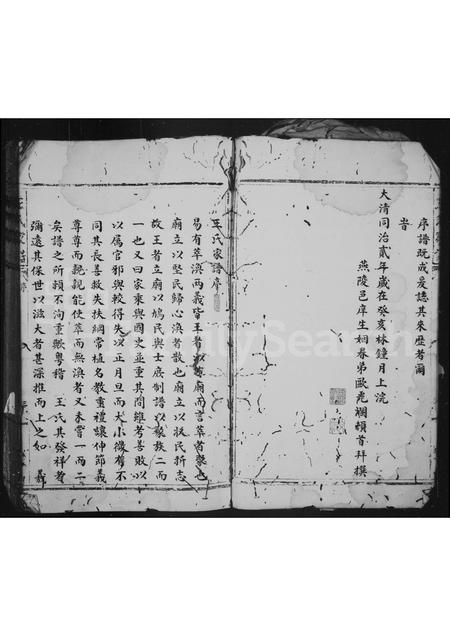 4565.王氏家谱.pdf电子版预览图4