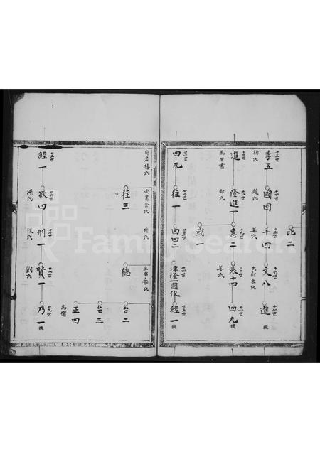 4566.秀溪王氏家乘.pdf电子版预览图4