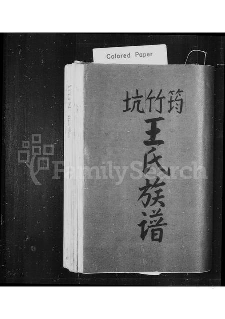 4567.筠竹坑王氏族谱(别名：泰顺南溪筠竹坑王氏宗谱、王氏宗谱).pdf电子版预览图1