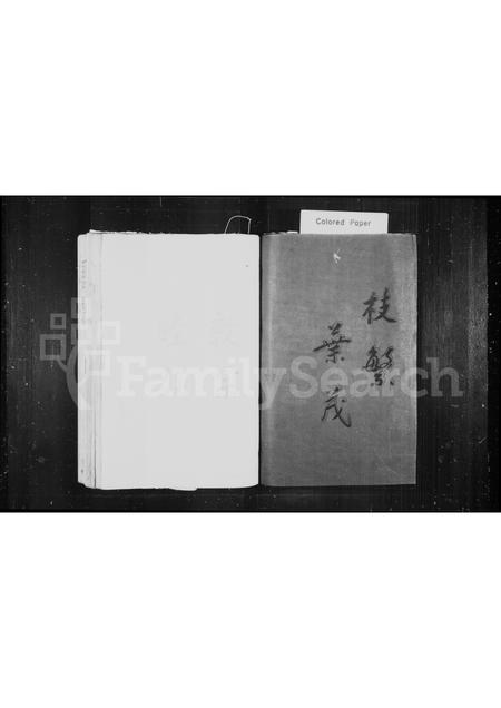 4567.筠竹坑王氏族谱(别名：泰顺南溪筠竹坑王氏宗谱、王氏宗谱).pdf电子版预览图2