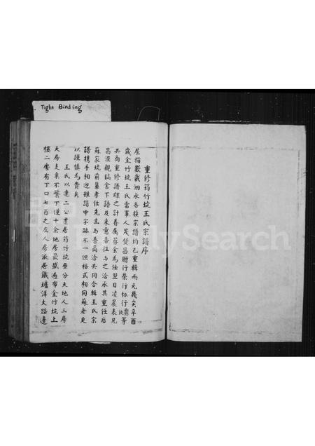 4567.筠竹坑王氏族谱(别名：泰顺南溪筠竹坑王氏宗谱、王氏宗谱).pdf电子版预览图4