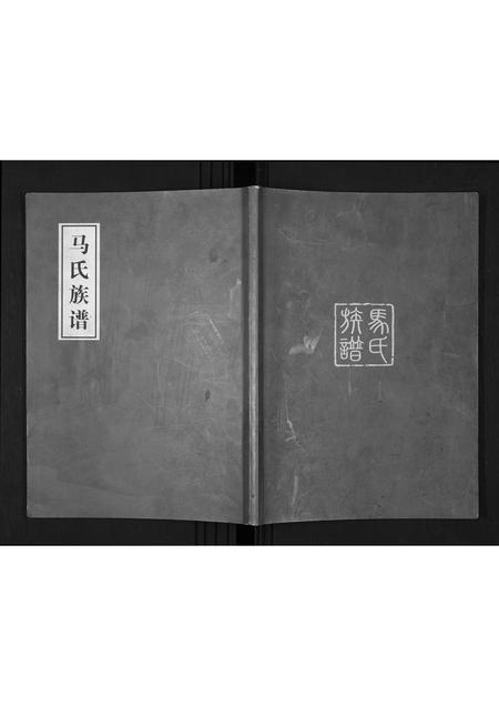 山西马氏-马氏族谱.pdf电子版缩略图