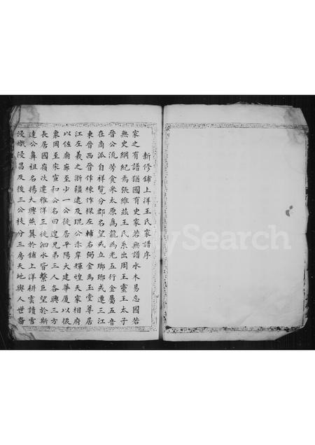 4568.铺上洋王氏族谱.pdf电子版预览图3