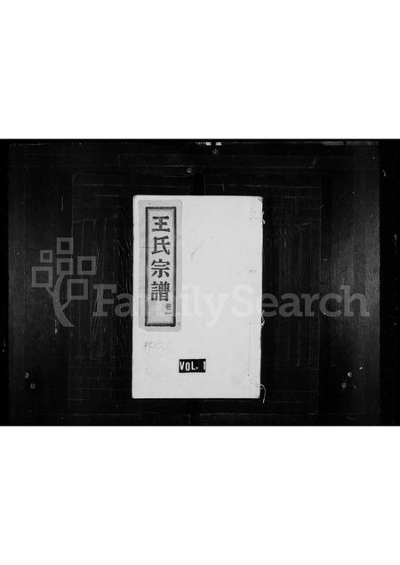 4571.王氏宗谱.pdf电子版缩略图