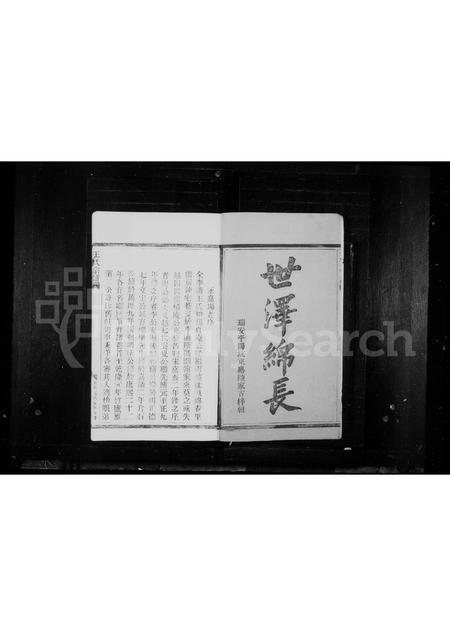 4571.王氏宗谱.pdf电子版预览图2