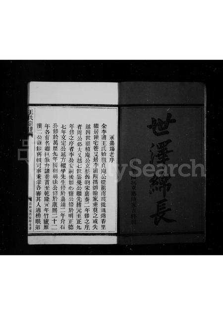 4571.王氏宗谱.pdf电子版预览图3