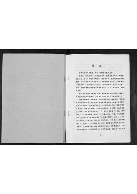 广西马氏-马氏家谱[不分卷].pdf电子版预览图1