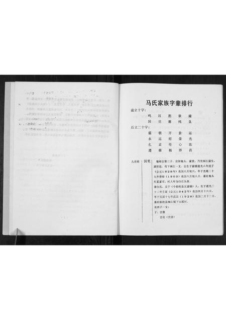 广西马氏-马氏家谱[不分卷].pdf电子版预览图3