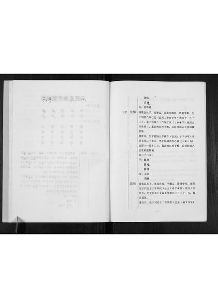 广西马氏-马氏家谱[不分卷].pdf电子版预览图4