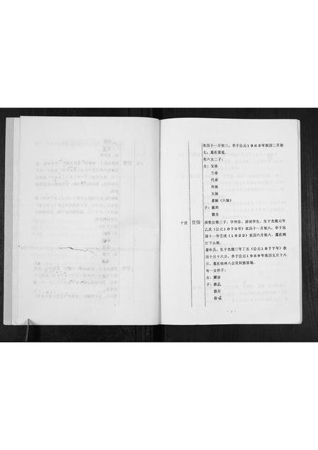 广西马氏-马氏家谱[不分卷].pdf电子版预览图5