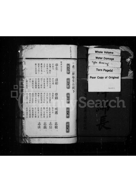 4572.王氏宗谱.pdf电子版预览图1