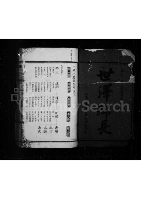 4572.王氏宗谱.pdf电子版预览图2