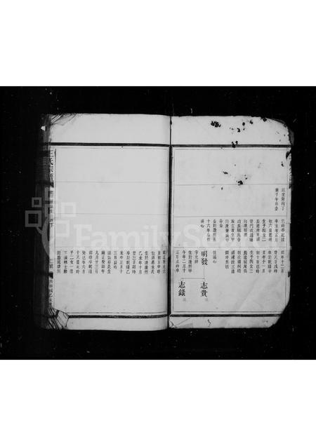 4572.王氏宗谱.pdf电子版预览图3