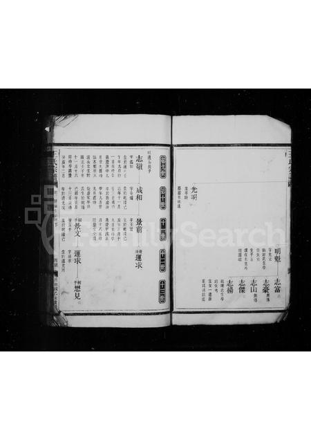 4572.王氏宗谱.pdf电子版预览图5