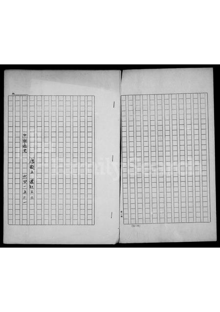 4580.[王氏]家谱.pdf电子版预览图1