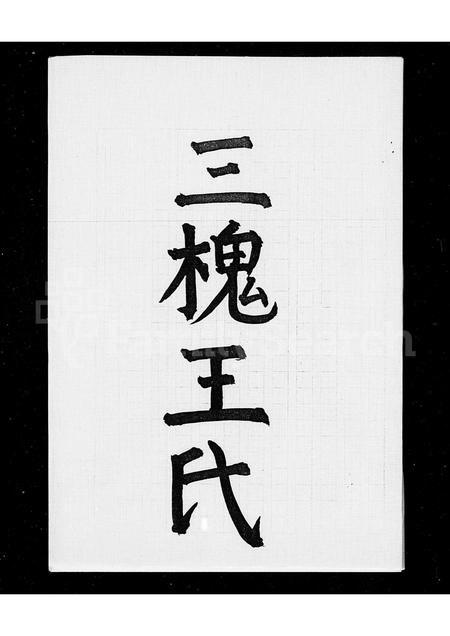 4581.三槐王氏族谱.pdf电子版预览图1